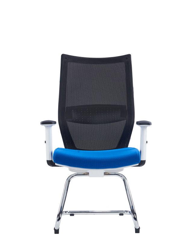 Office Mesh Chair with Adjustable Headrest & Lumbar Support| Black, Blue