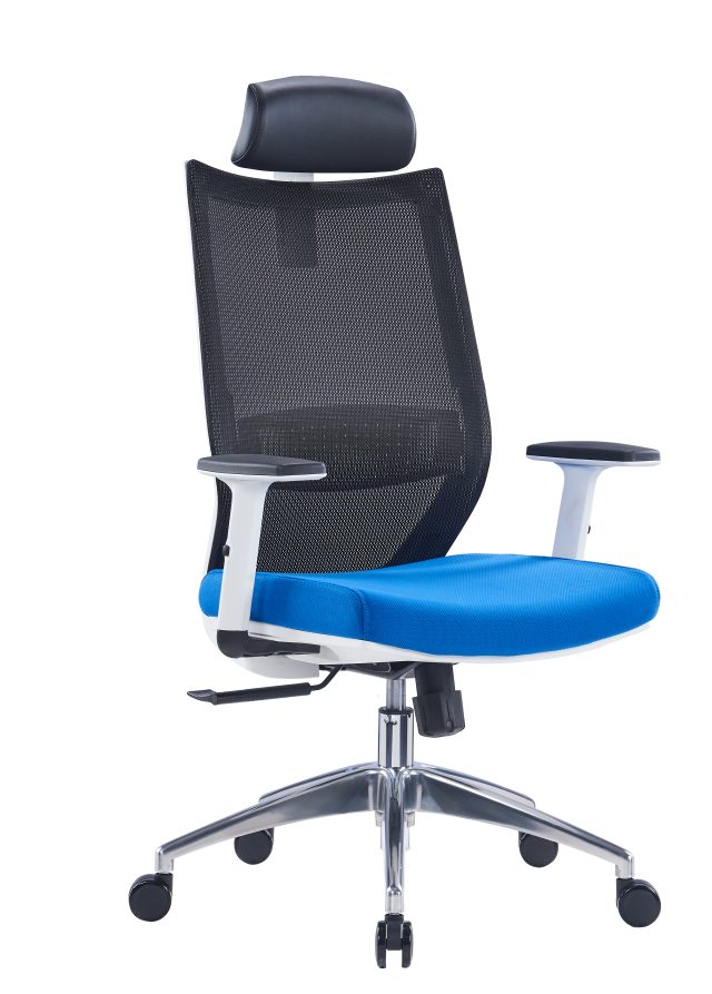 Office Mesh Chair with Adjustable Headrest & Lumbar Support| Black, Blue