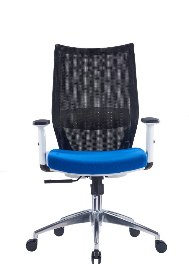 Office Mesh Chair with Adjustable Headrest & Lumbar Support| Black, Blue