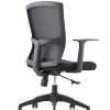 Office Chair with Black PP Frame – High-Density Foam, Fixed T-Shape Armrests & Gas Lift
