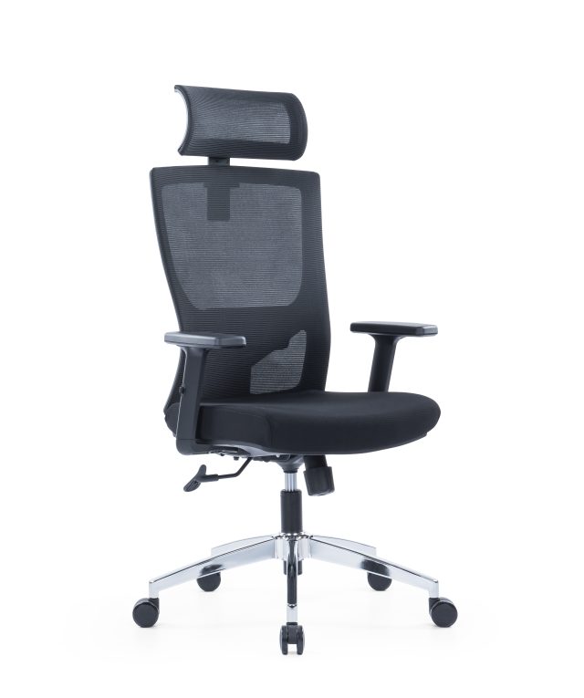 Ergonomic Office Chair with Armrests & Lumbar Support