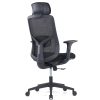 Ergonomic Black Mesh Office Chair – High Back | Low Back | Visitor Options | Lumbar Support | Molded Foam for Prolonged comfort |Black | Grey