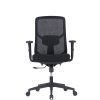 Ergonomic Black Mesh Office Chair – High Back | Low Back | Visitor Options | Lumbar Support | Molded Foam for Prolonged comfort |Black | Grey
