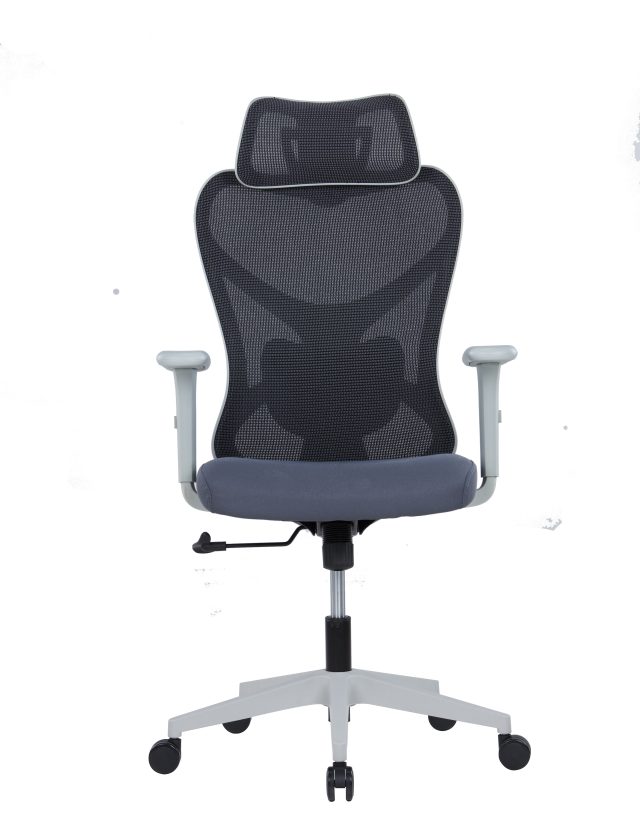 Ergonomic Executive Chair – 2D Headrest, Adjustable Lumbar & Synchro Tilt