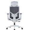 Ergonomic Black Mesh Office Chair – High Back | Low Back | Visitor Options | Lumbar Support | Molded Foam for Prolonged comfort |Black | Grey