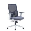 Ergonomic Black Mesh Office Chair – High Back | Low Back | Visitor Options | Lumbar Support | Molded Foam for Prolonged comfort |Black | Grey