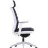 Modern Black Office Mesh Chair with Adjustable Headrest(High Back) & 3D Armrests