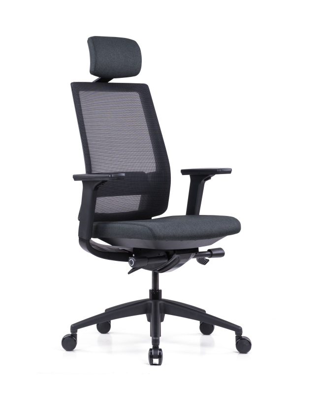 Modern Black Office Mesh Chair with Adjustable Headrest(High Back) & 3D Armrests