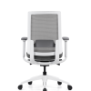 Modern Black Office Mesh Chair with Adjustable Headrest(High Back) & 3D Armrests