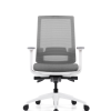 Modern Black Office Mesh Chair with Adjustable Headrest(High Back) & 3D Armrests