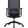 Modern Black Office Mesh Chair with Adjustable Headrest(High Back) & 3D Armrests